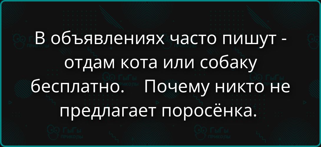 В объявлениях часто пишут - отдам кота или собаку бесплатно. Почему никто не предлагает поросёнка.