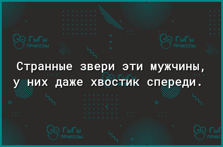 Странные звери эти мужчины У НИХ даже ХВОСТИК спереди