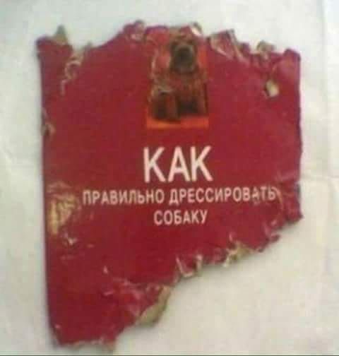 ЕАК _ птипыю дРЕССИРОВдТд и сов