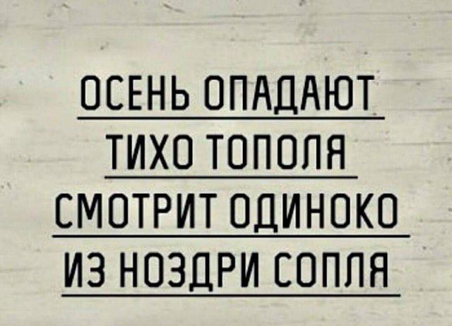 ОСЕНЬ ОПАДАЮТ ТИХО ТОПОЛЯ СМОТРИТ ПДИНОКО ИЗ НОЗЦРИ ЕОППЯ
