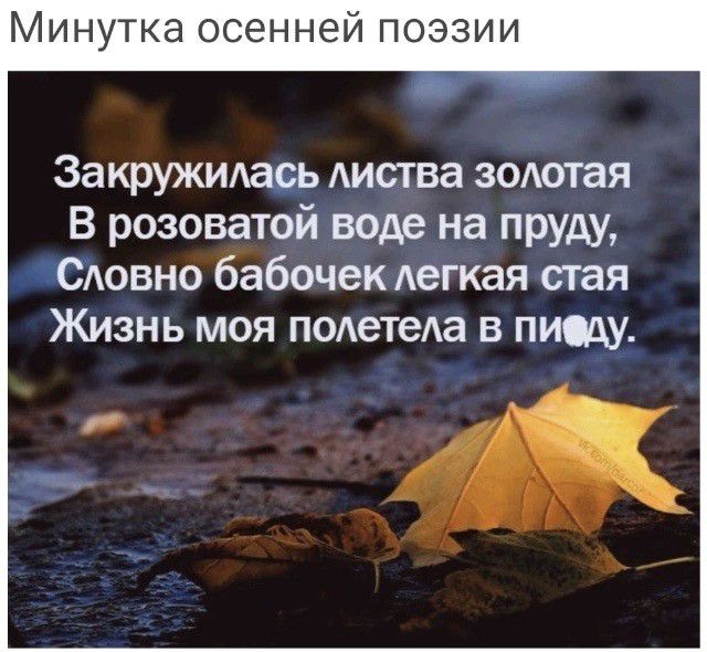 Минутка осенней поэзии За кружидадь Аиства зодотая В розоватой воде на пруду словно бабочек Аегкая стая Жизнь моя подетеда в пищу