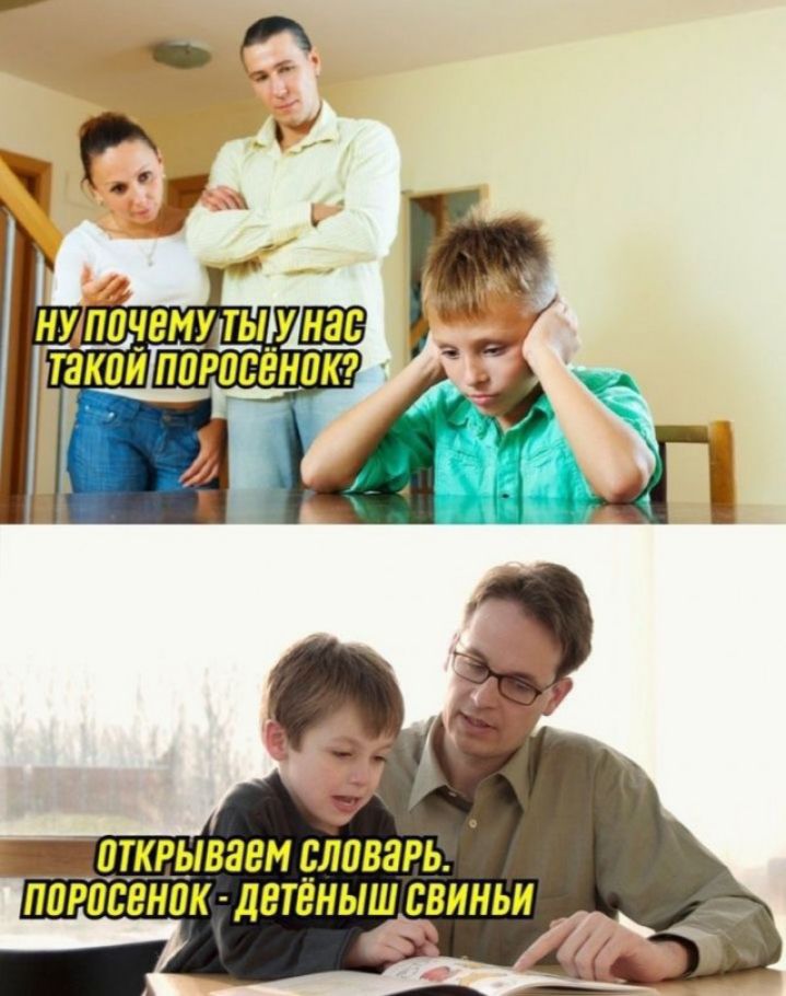 щквывявм уловарь поросенок детеныш свиньи