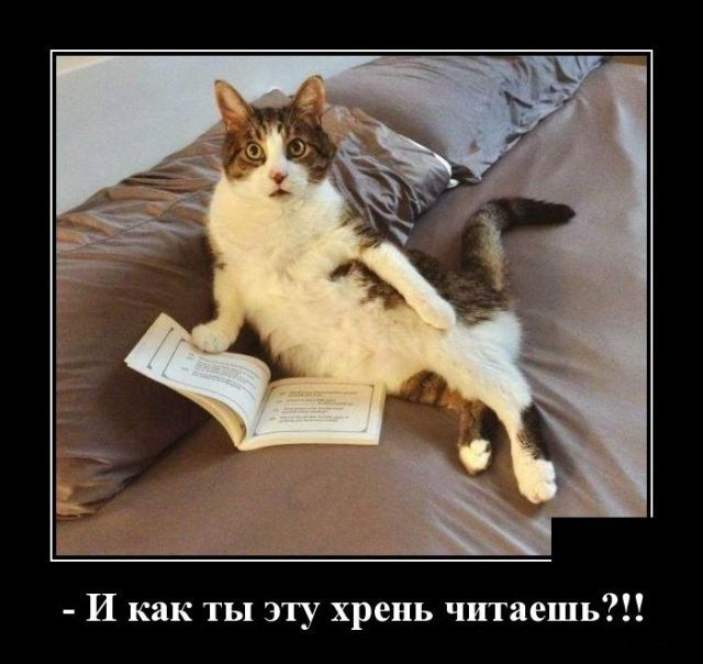И как ты эту хрень читаешь