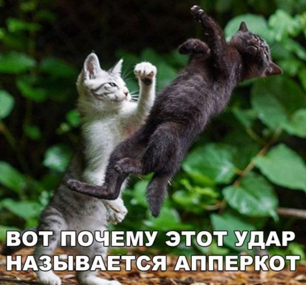 Гвбі пачігмі это_т У Р ъідзеЫВАЕ Ёсяіддч п п ЕРКіОЁ