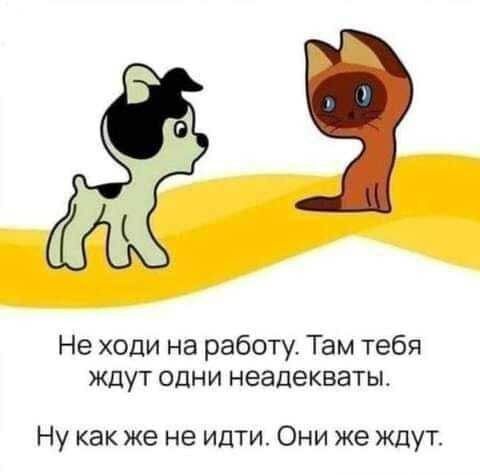 Не ходи на работу Там тебя ждут одни неадекватьь Ну как же не идти Они же ждут