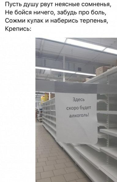 Пусть душу рвут неясные сомненья Не бойся ничего забудь про боль Сожми кулак и наберись терпенья Крепись