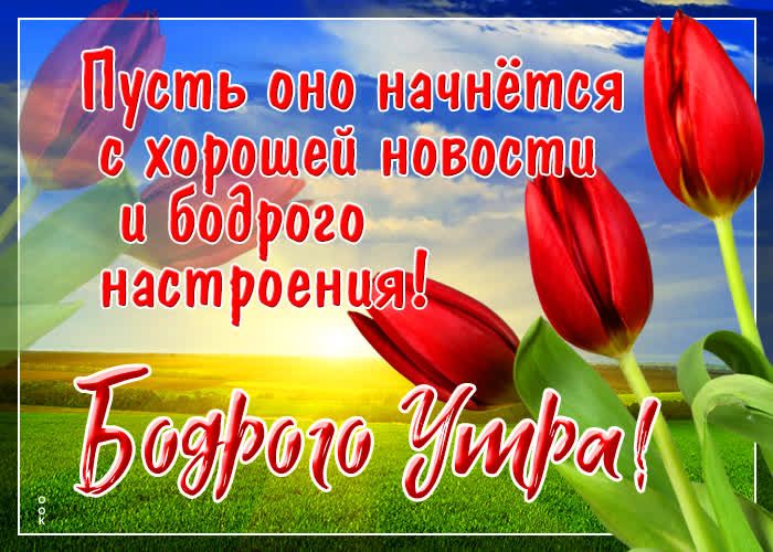 тьоноіначнети с хордшей новост и 080020 _ настроения