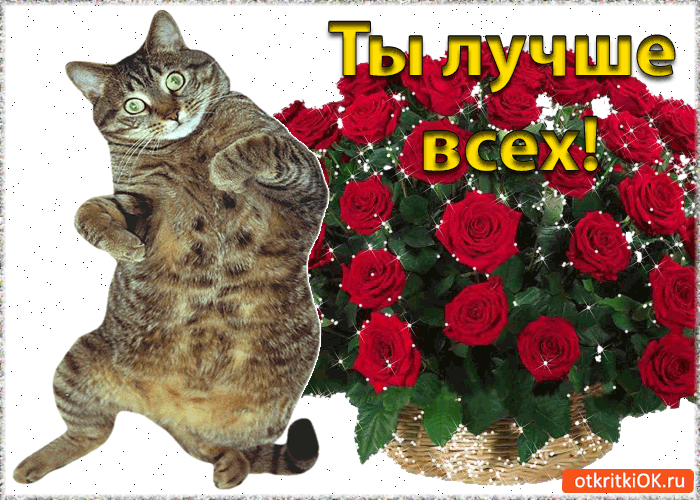 К ю ш О