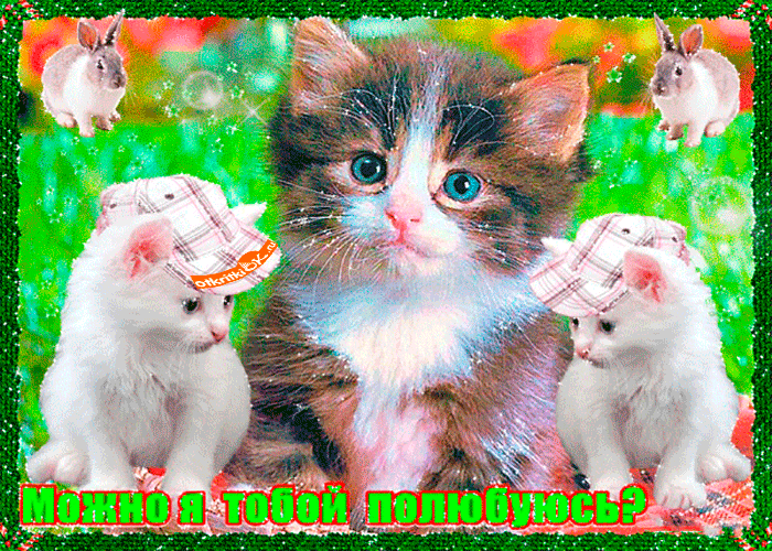 ппЁР ЁіпюЁьЁ