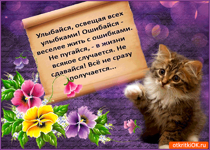 _ оЕКгМіОКт