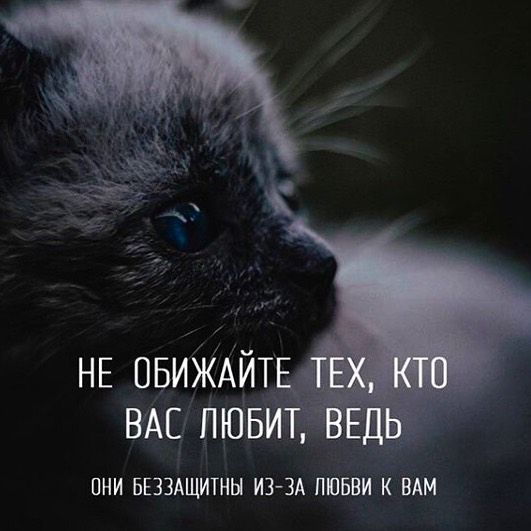 ПНИ БЕЗЗАЩИТНЫ ИЗ ЗА ЛЮБВИ КВАМ