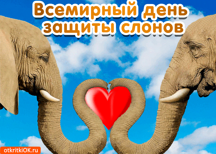 пКгіСКіОКжи