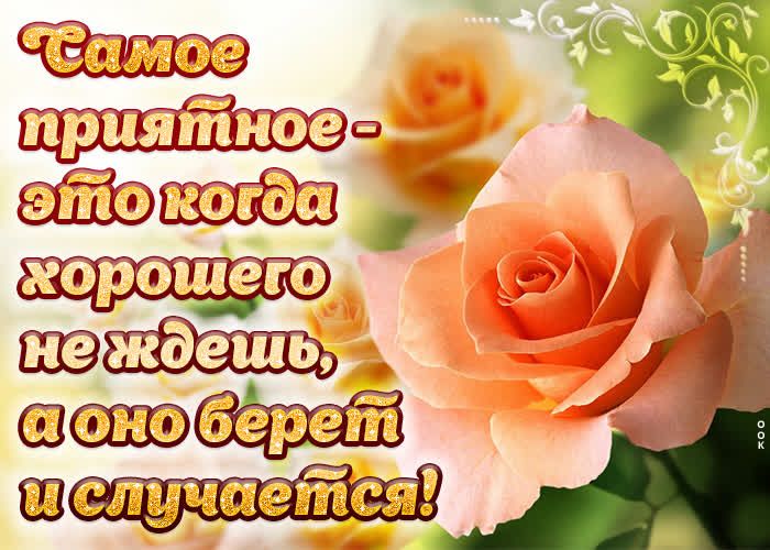 я с _т е а и у и ое птй шего онишь берет о шш