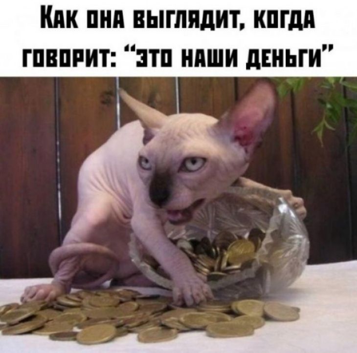 Кпк пни выглядит кпгдп гпвппит пп ниши двньги