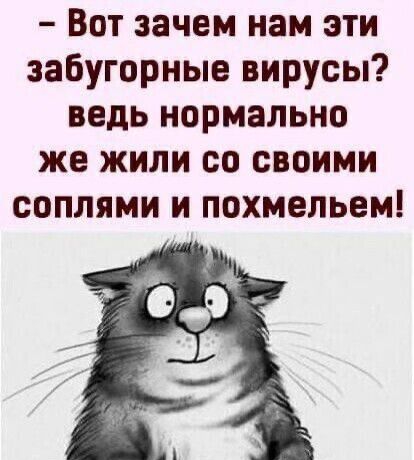 Вот зачем нам эти забугорные вирусы ведь нормально же жили со своими соплями и похмельем