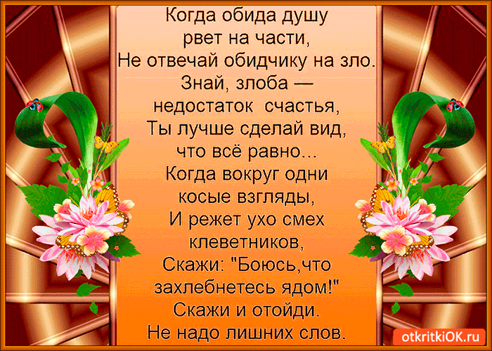 Когда обида душу рвет на части Не отвечай обидчику на зло Знай злоба недостаток счастья Ты лучше сделай вид что всё равно Когда вокруг одни косые взгляды И режет ухо смех кпеветников Скажи Боюсьчто захлебнетесь ядом Скажи и отойди Не надо лишних слов