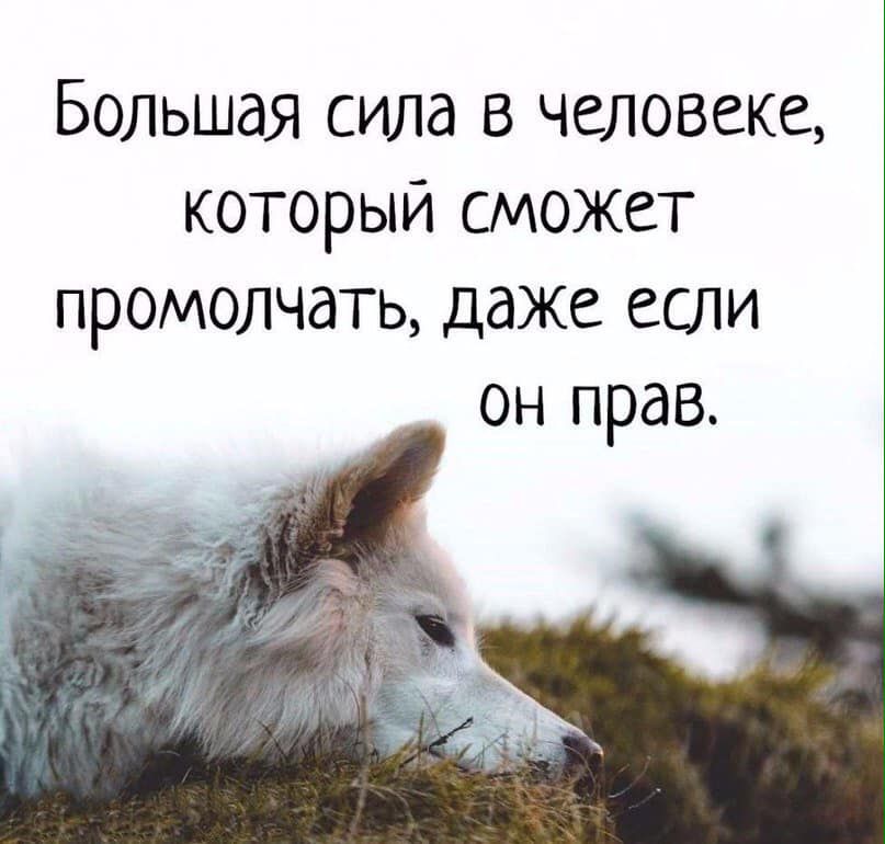 Большая сила в человеке который сможет промолчать даже если