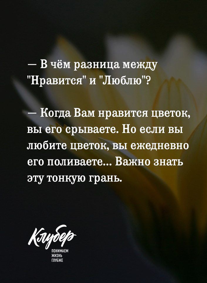 В чём разница между Нравится и Люблю Когда Вам нравится цветок вы его срываете Но если вы любите цветок вы ежедневно его поливаете Важно знать эту тонкую грань ППИИМАЕМ жизнь глуьжг
