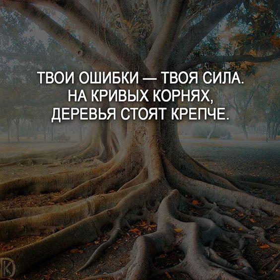 ТВОИ ОШИБКИ ТВОЯ СИЛА НА КРИВЫХ КОРНЯХ ДЕРЕВЬЯ СТОЯТ КРЕПЧЕ