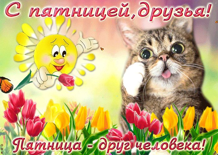 Гтіыч хаШСёгёээдс Г _ 51 7