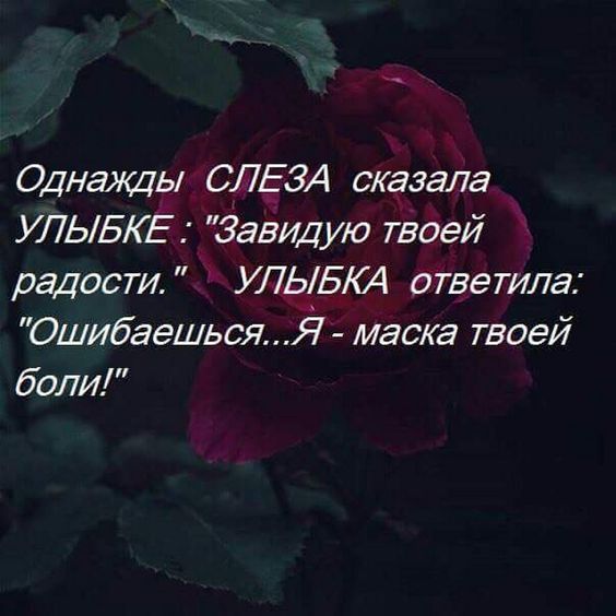 Однажды СЛЕЗА сказала УЛЫБЕ Завидую твоей радости УЛЫБ64 ответила Ошибаешься 37 маеа твоей боли