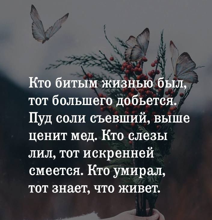 Пуд соли еъевший выше ценит мед Кто слезы лил тот искренней смеется Ктбумвтрел тот знает что жйвет Аджи