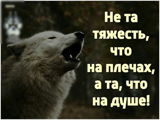 Не та тяжесть на 5 а та что на дчше Ё