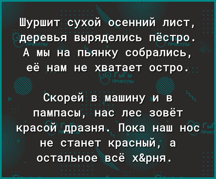 Шуршит сухой осенний лист деревья выряделись пёстро А мы на пьянку собрались её нам не хватает остро Скорей в машину и в пампасы нас лес зовёт красой дразня Пока наш нос не станет красный а остальное всё хрня