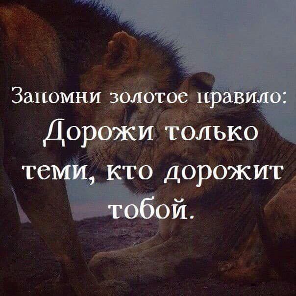 Запомни тое ТС _тО ДОРОЖИТ