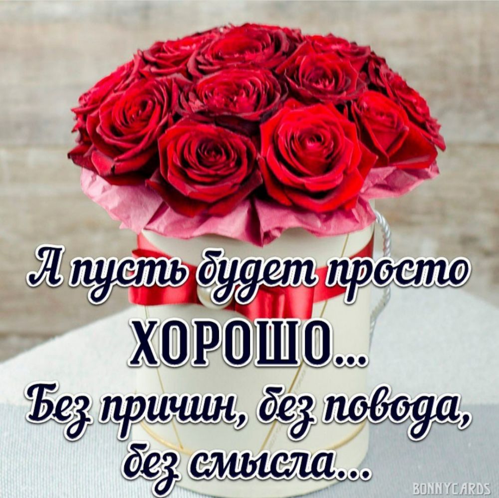 Ёе дед без смысла