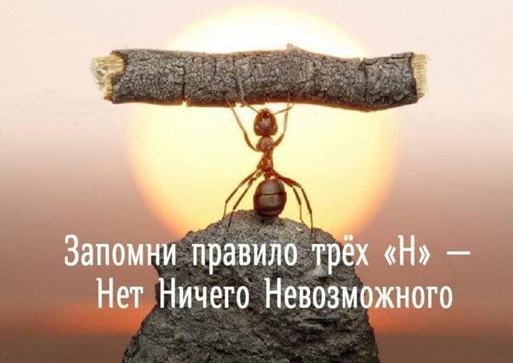 Ёомг и Ничего Невозмого