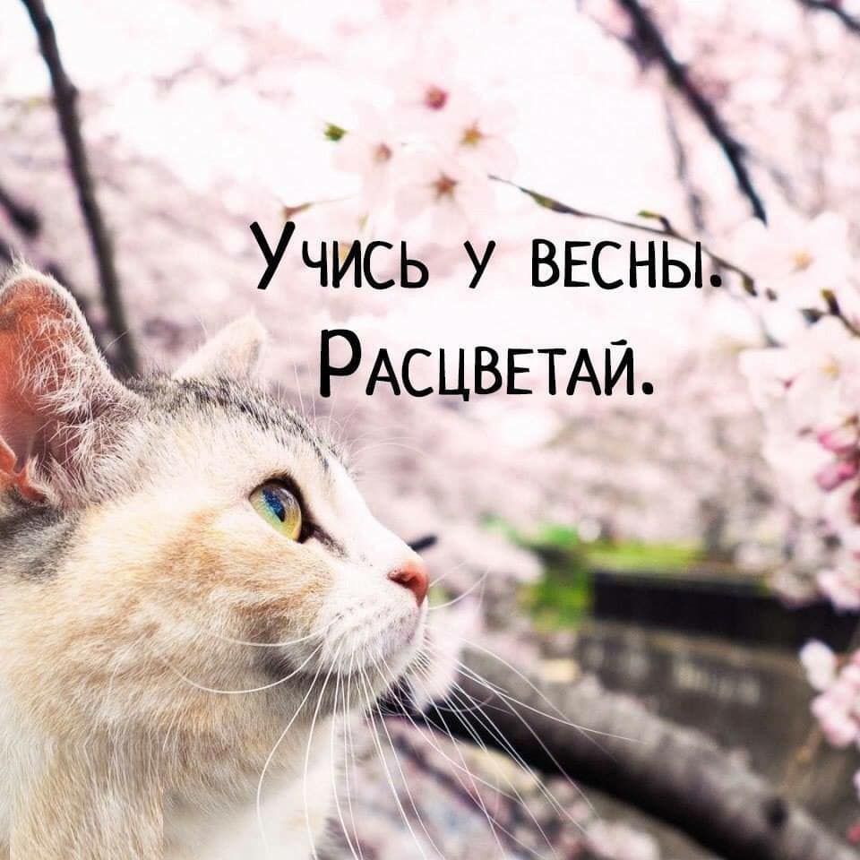 О с Учись у ВЕсЁьщ _ _ ЖЁЁЁЖЁРАСЦВЕТАИ