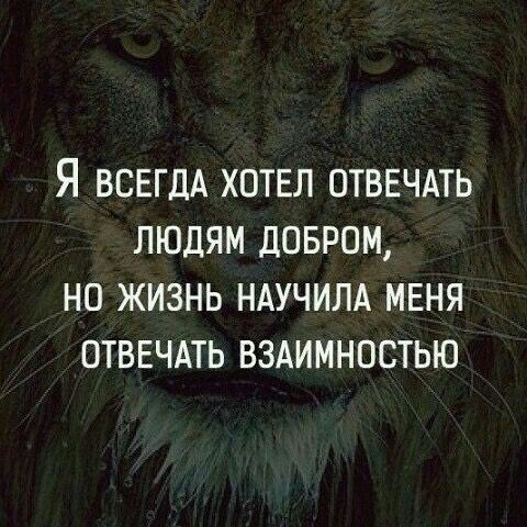 Я ВСЕГДА ХОТЕЛ ОТВЕЧАТЬ ЛЮДЯМ ДОБРОМ НО ЖИЗНЬ НАУЧИЛА МЕНЯ ОТВЕЧАТЬ ВЗАИМНОСТЬЮ