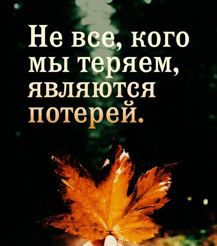 Не в кого МЫ т яем явля _ тря потереи