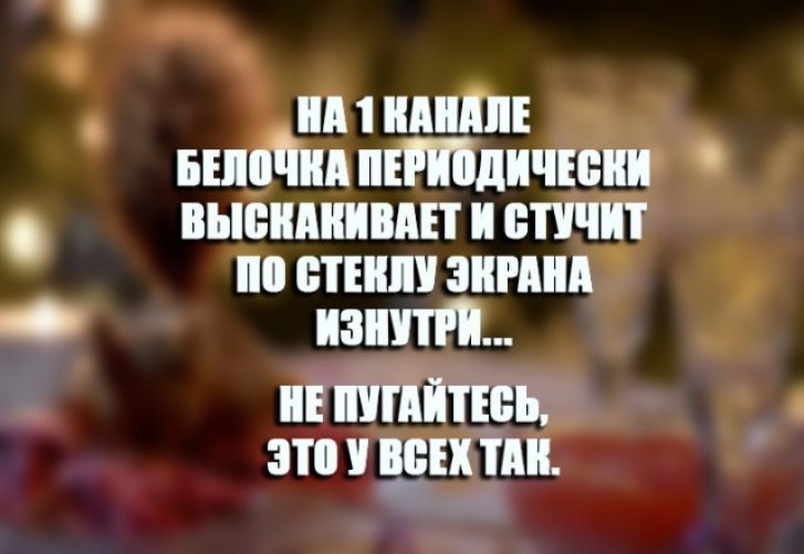 пм идиш шайки пітдичюии вьюншвш и шчит по спин зимин пит ШГПЙТЕББ ЗТ ББН тд