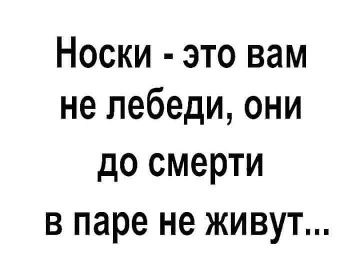 Носки это вам не лебеди они до смерти в паре не живут