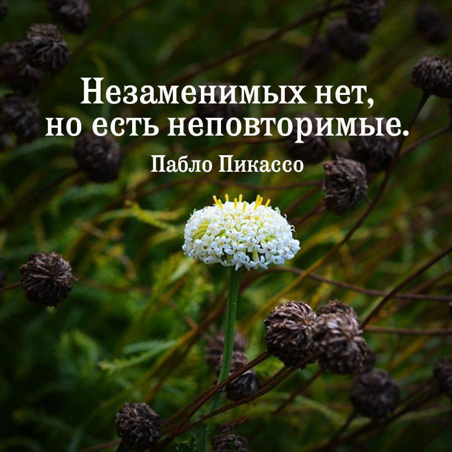 Незаменимых нет но есть неповторимые картинки