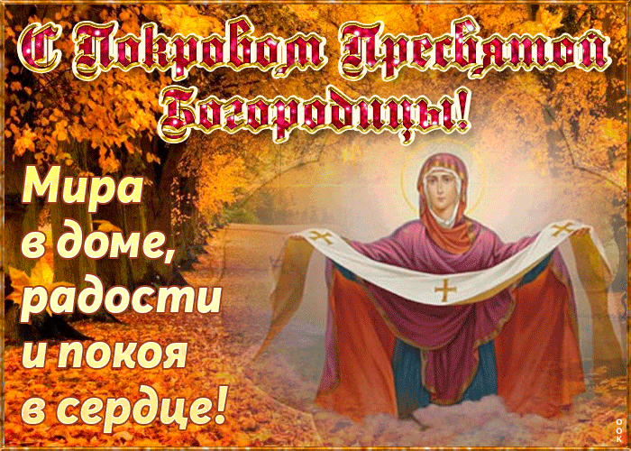 у_ ипокояд _ всердце