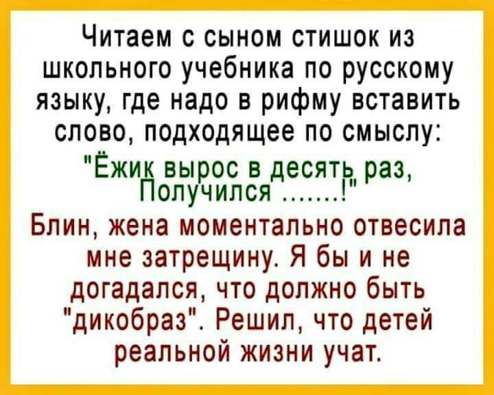 Читаем с сыном стишок из школьного учебника по русскому языку где надо в рифму вставить слово подходящее по смыслу иЁжид вырос в десять раз олучился Блин жена моментально отвесила мне затрещину Я бы и не догадался что должно быть дикобраз Решил что детей реальной жизни учат