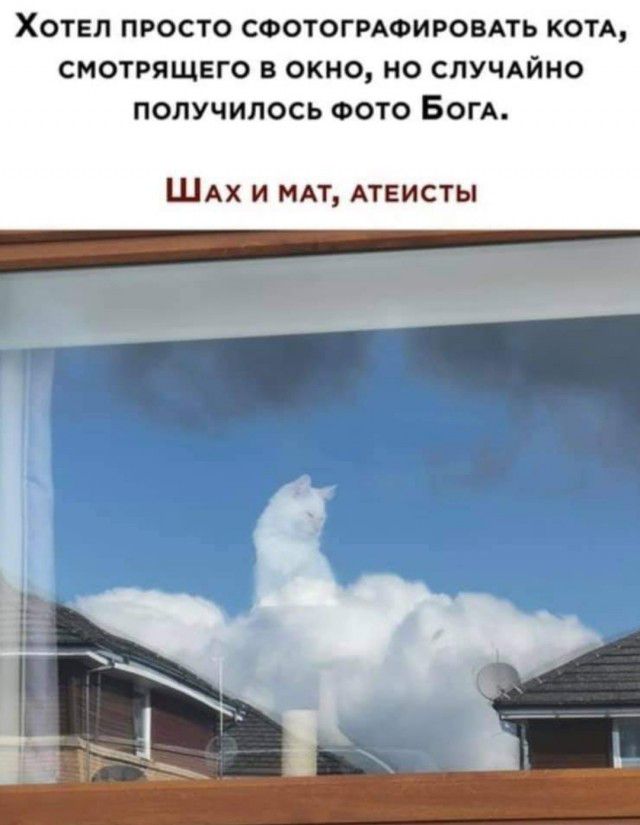 ХОТЕЛ ПРОСТО СФОТОГРАФИРОВАТЬ КОТА СМОТРЯЩЕГО В ОКНО НО СЛУЧАЙНО ПОЛУЧИПОСЬ ФОТО БОГА ШАХ И МАТ АТЕИСТЫ