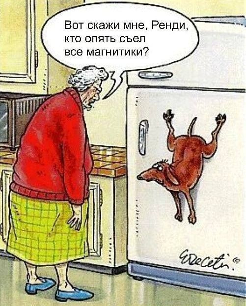 Вот скажи мне Ренди _5 кто опять съел все магнитики