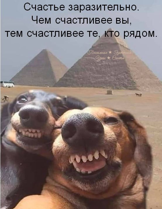 Счастье заразительно Чем СЧЭСТЛИВЭЭ ВЫ тем СЧЗСТЛИВЭЭ те_ 10 РЯДОМ