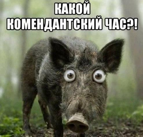ШШШ ь