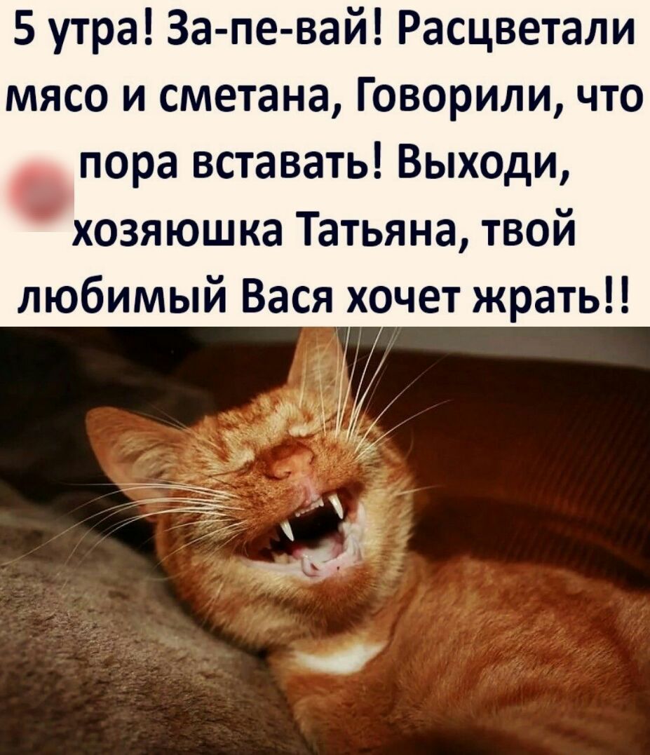 5 утра За пе вай Расцветали мясо и сметана Говорили что пора вставать Выходи хозяюшка Татьяна твой любимый Вася хочет жрать