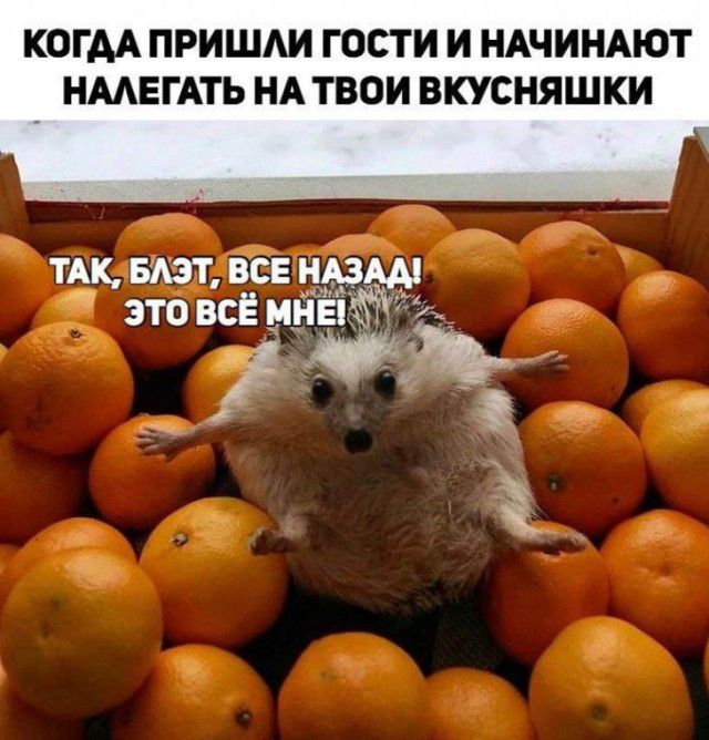 КОГДА ПРИШАИ ГОСТИ И НАЧИНАЮТ НААЕГАТЬ НА ТВОИ ВКУСНЯШКИ тАк вют все ндзщ это всЁ мнекёйщ