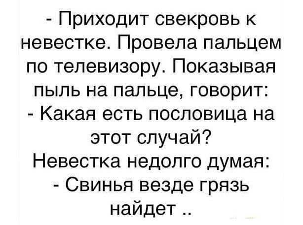 Приходит свекровь к невестке Провела пальцем по телевизору Показывая пыль на пальце говорит Какая есть пословица на этот случай Невестка недолго думая Свинья везде грязь найдет