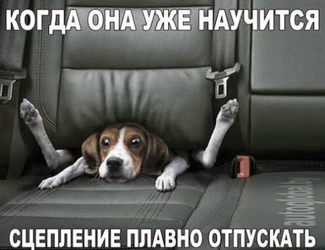 когдш муж НЕ нійъіится та Ь А Д __ ___ _б СЦЕПЛЕНИЕ ПЛАВНО ОТПУСКАТЬ