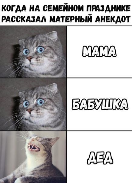 КОГ АА НА СЕМЕЙЕЮМ ЧМЗАНИКЕ РАОСКАЗАА МАТЕРНЫИ АНЕКА0Т МАМА БАБУШКА