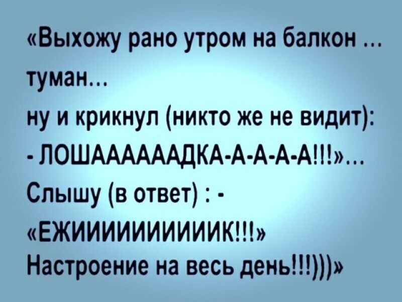 Выхожу рано утром на балкон туман ну и крикнул никто же не видит ЛОШААААААДКА А А А А Слышу в ответ ЕЖИИИИИИИИИИК Настроение на весь день