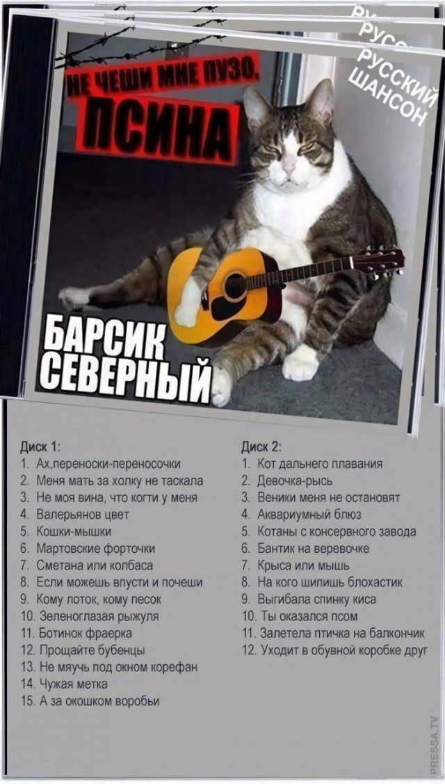 Ахлерзноски переносочки Меня матъ за хопку не таскала Не моя вина что когти у меня Валерьянов цвет Кошкигмышки Мартовские форточки Сметана ипи колбаса Если можешь эпусти и почеши Кому поток кому песок Ю Зеленоглазая рыжупя И Ботинок фраерка 12 Прощайте бубенцы 13 Не мяучь под окном корефаи 14 Чужая метка 15 А за окошком воробьи Фшчтшдыю_ 1 КОТ ЦЭПЬНЭГО ППЗЕЗМИЯ 2 девочкарысь 3 Веники меня не остан
